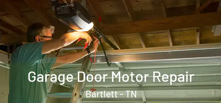  Garage Door Motor Repair Bartlett - TN