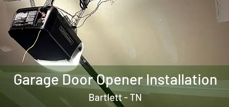  Garage Door Opener Installation Bartlett - TN