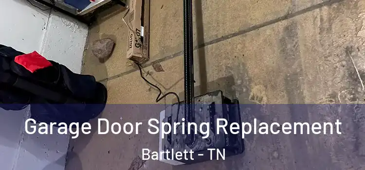  Garage Door Spring Replacement Bartlett - TN
