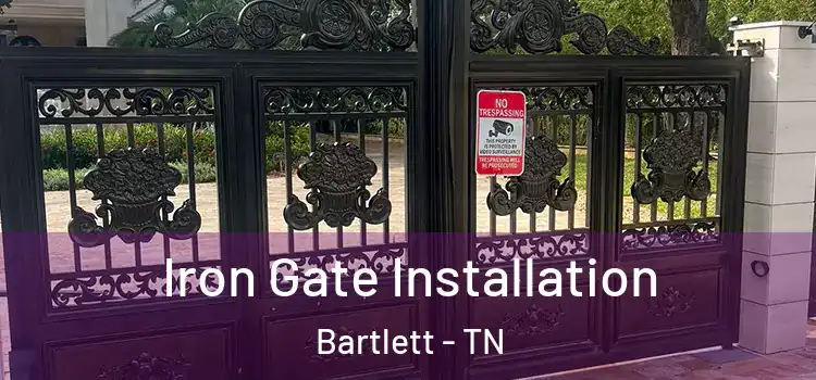 Iron Gate Installation Bartlett - TN