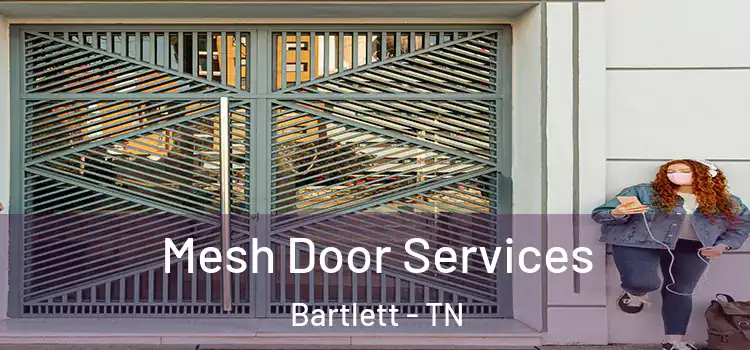 Mesh Door Services Bartlett - TN